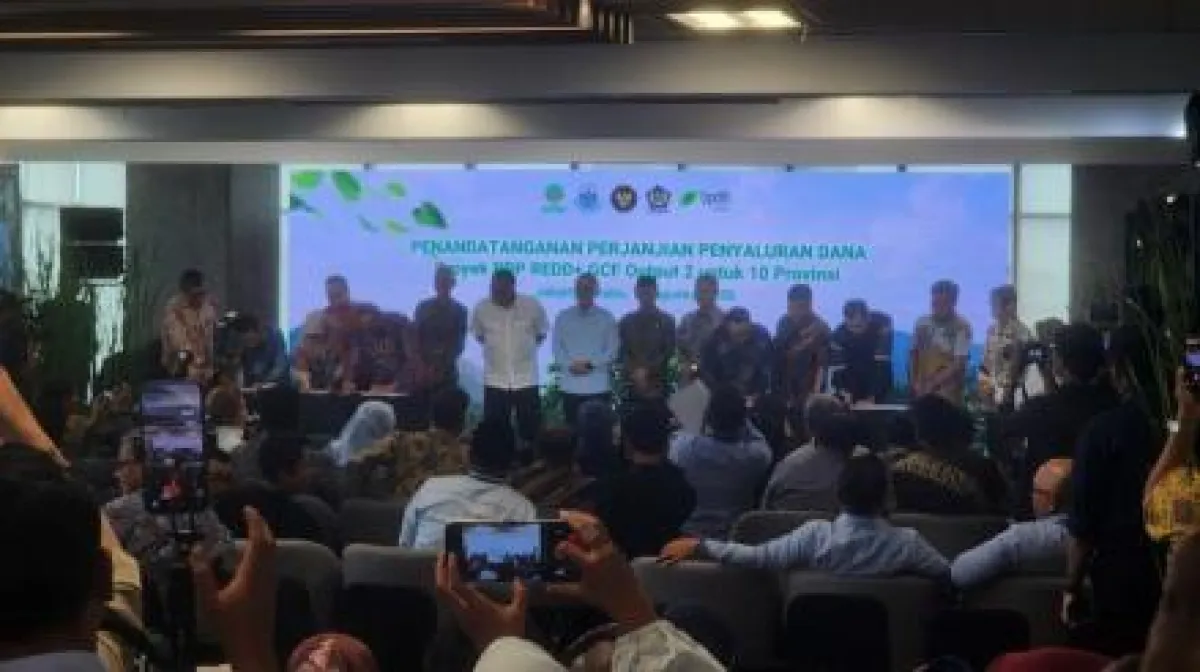 Cover Berita